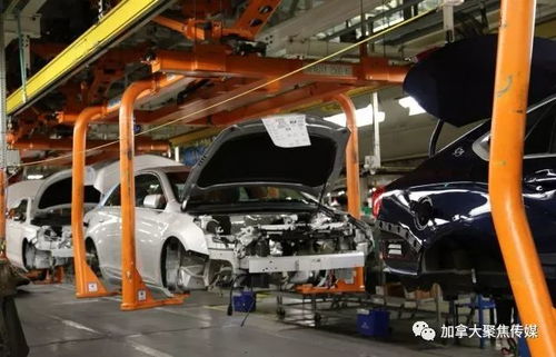 加拿大百年汽車廠倒閉引發(fā)連鎖反應(yīng)，橡膠產(chǎn)業(yè)與國民經(jīng)濟同陷困境