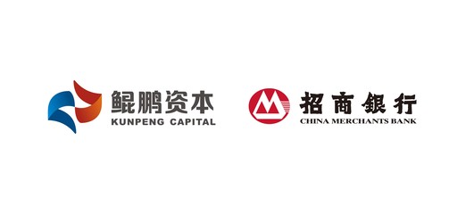 鯤鵬展翅，資本賦能——探析深圳市鯤鵬招銀國資改革與戰(zhàn)略發(fā)展股權(quán)投資基金的投資咨詢價值